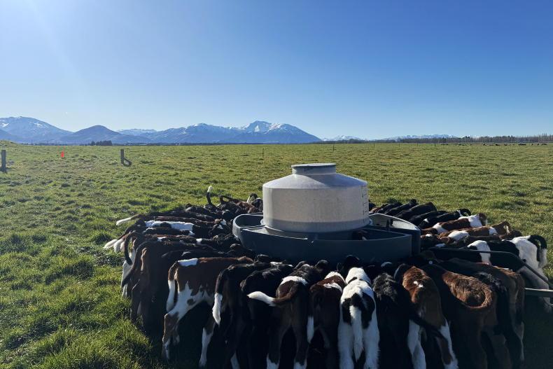 Pragmatism replaces idealism in New Zealand