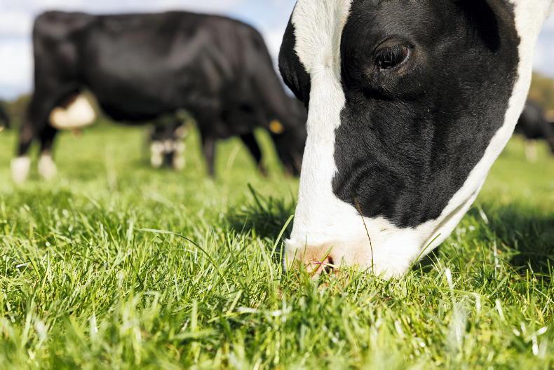 Two positions available on 350-cow farm in Tipperary