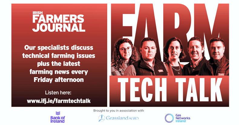 Farm Tech Talk: future cattle shortage and store lamb trade