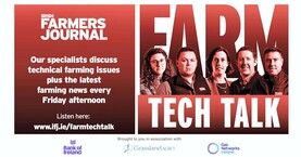 Farm Tech Talk: future cattle shortage and store lamb trade