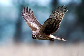 €7m for new arable scheme along south coast