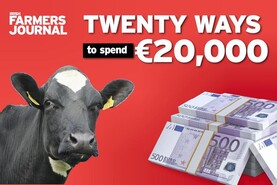 Watch: cow-and-calf unit sells for €18,000 in Tuam