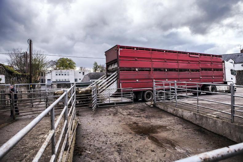 Department allay fears of disruption from French cattle live export ban