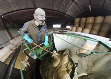 Watch: 'my head was dizzy and the headaches were cruel'