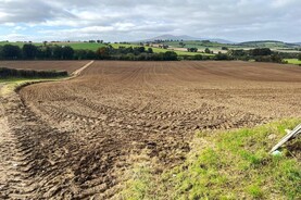 From the Tramlines: heavy rain arrives to halt sowing