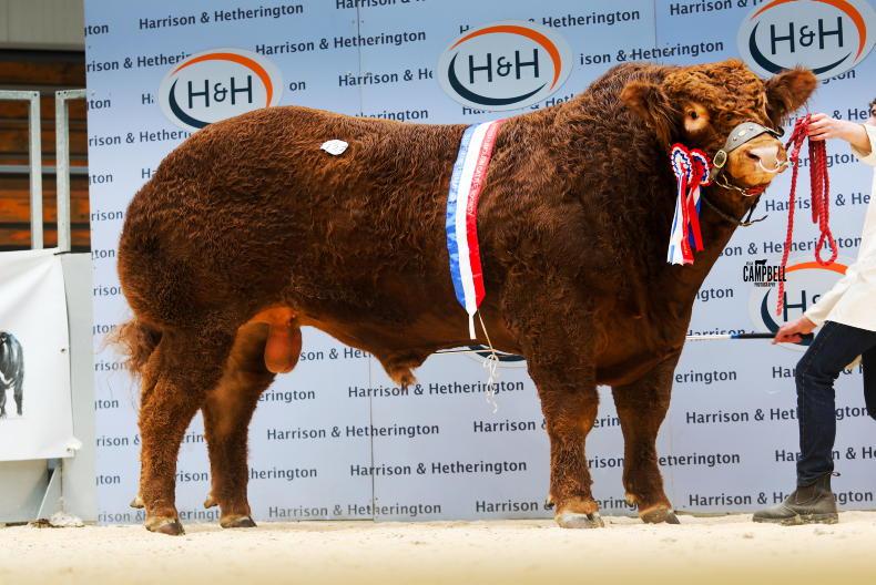 70,000gns buys champion bull in Carlisle