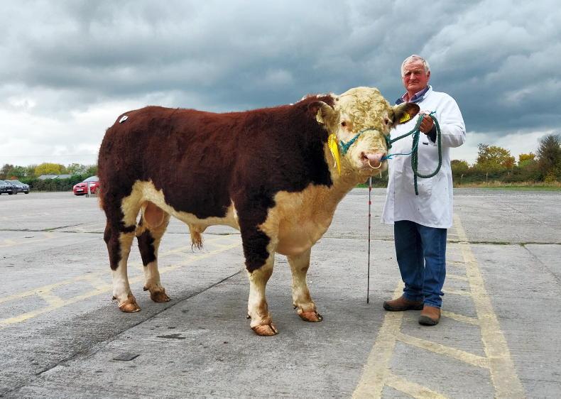Hereford bulls average €4,275 in Kilmallock