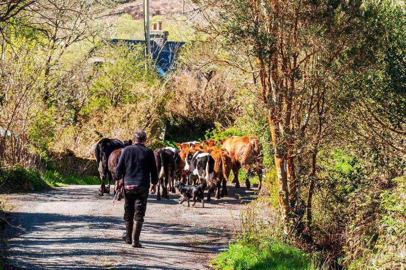 Brussels to call for action against land grabbers and speculators