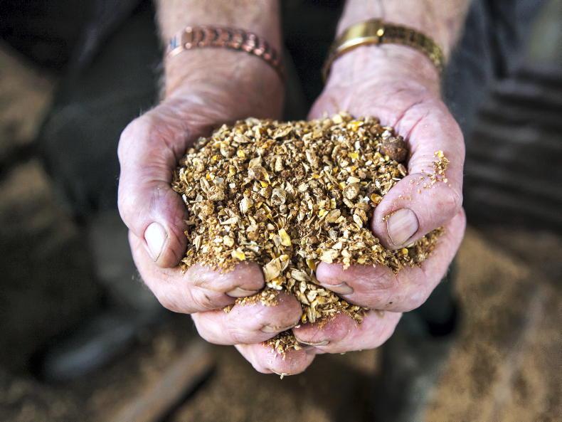 Winter feeding period critical for weight gains