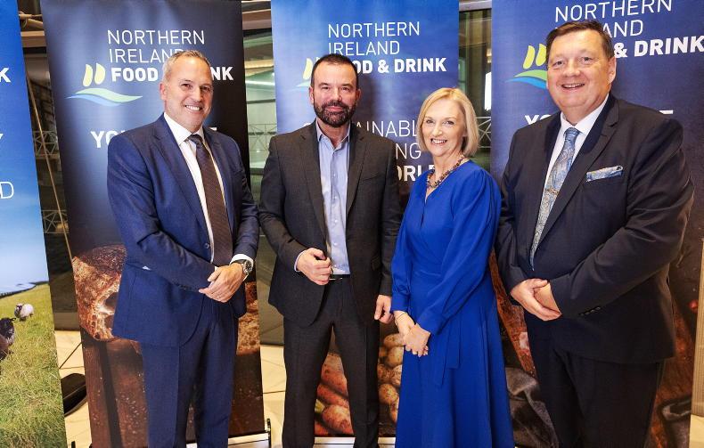 NIFDA chair calls for planning reform