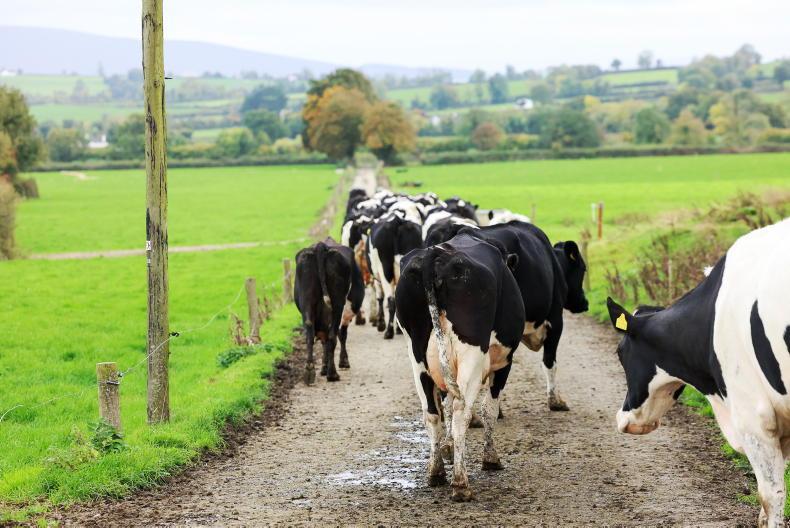 Scale of fall in milk price shocks