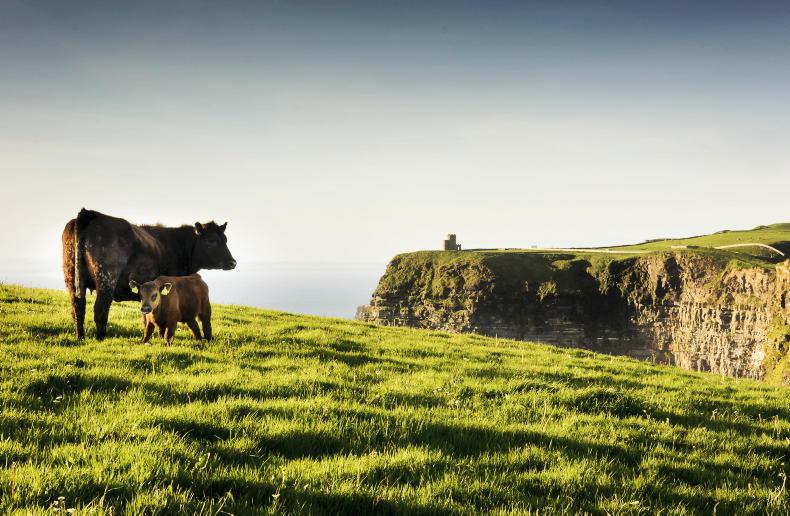 Tractors go on a night drive                 