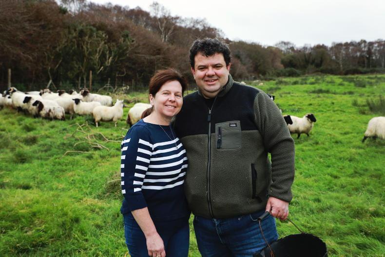 My Farming Week: James Regan, Moycullen, Co Galway