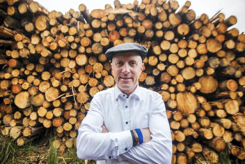 Healy-Rae hails ‘real shift’ in forestry license output