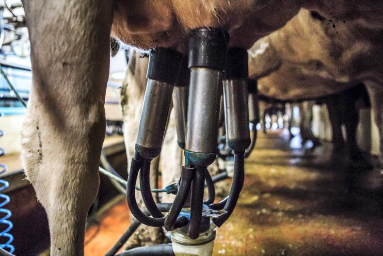 Dairy Trends: cheese prices drop to same level as whole milk powder