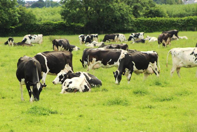 Editorial: further milk price cuts looming