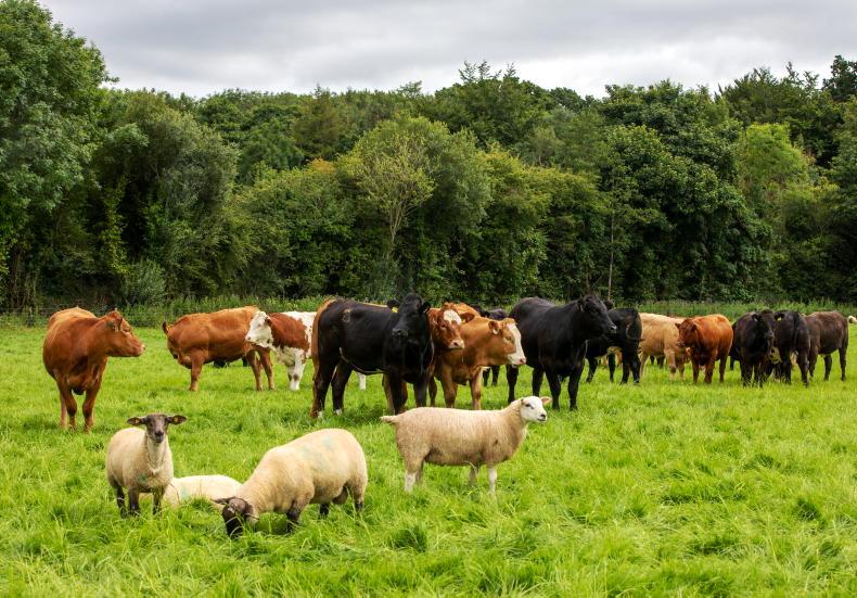 €195m paid to 110,000 farmers under Eco Scheme