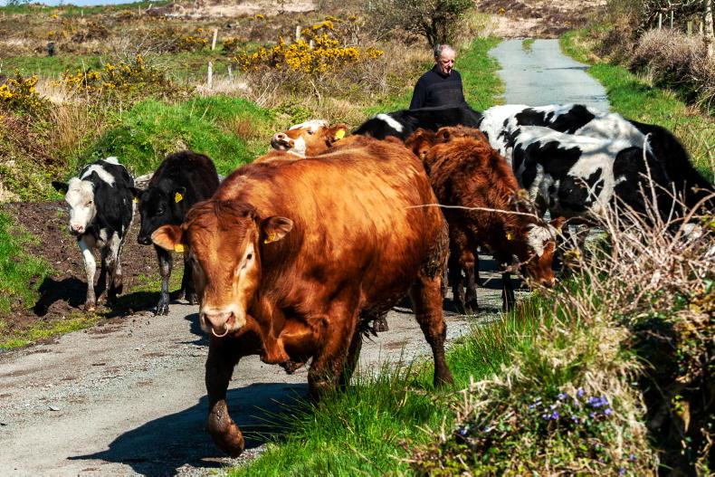 €194m in Eco Scheme payments begin