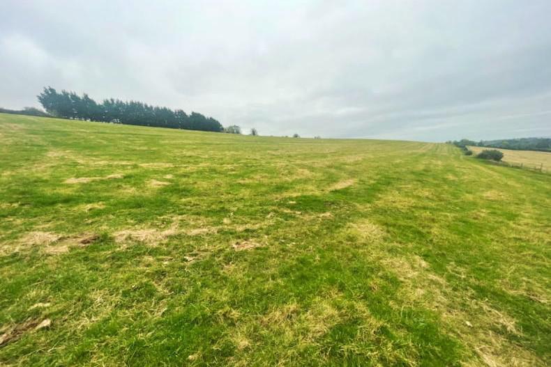 Holding just off the main road with 40ac in Co Kildare