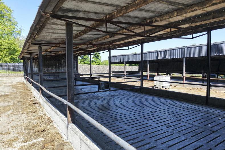 Lease offered for 10 years on 230ac farm