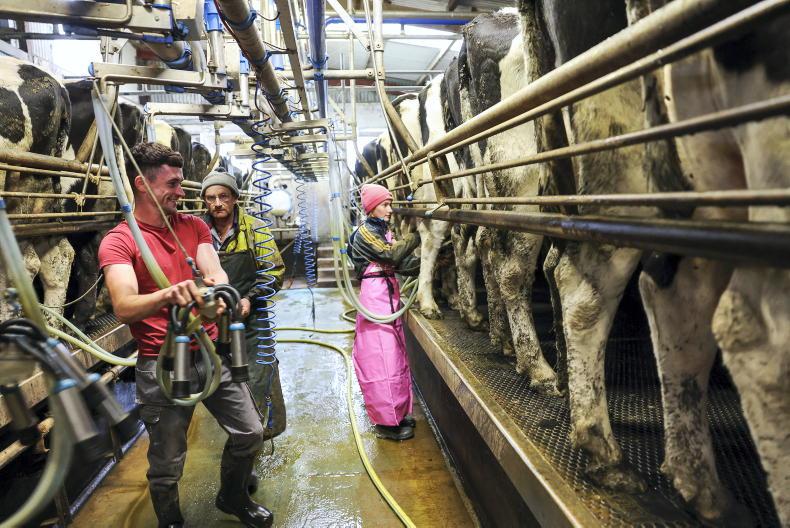 Managing people on Irish dairy farms