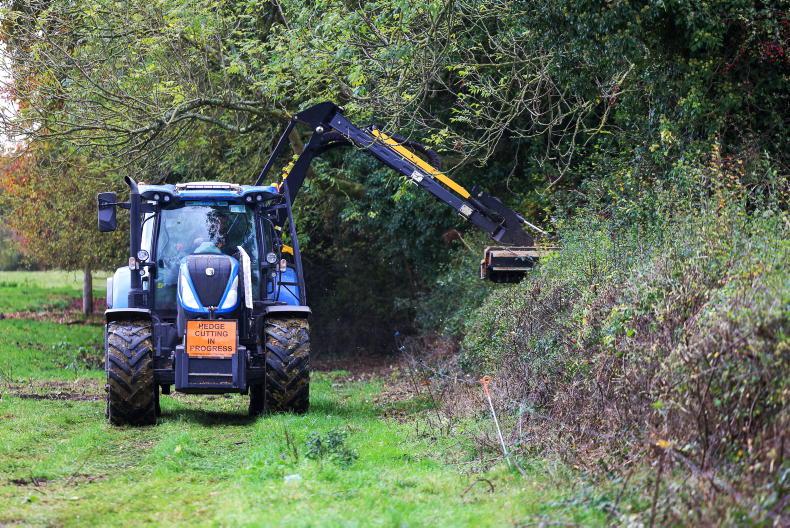 Time to move away from ‘overly manicured’ hedges – Hedgerows Ireland