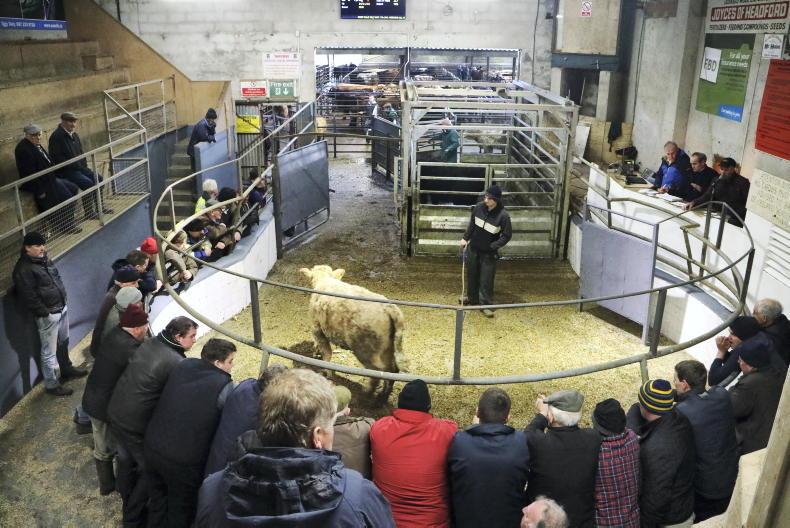 Headford Mart told to pay €26,250 to ex-worker for unfair dismissal