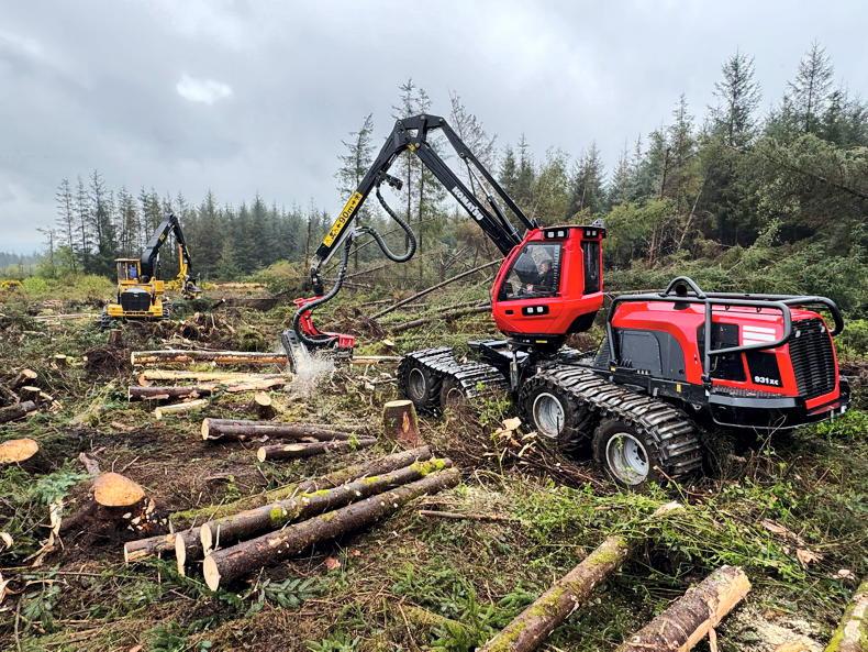 ‘Irish contractors needed more time before overseas contractors were brought in’