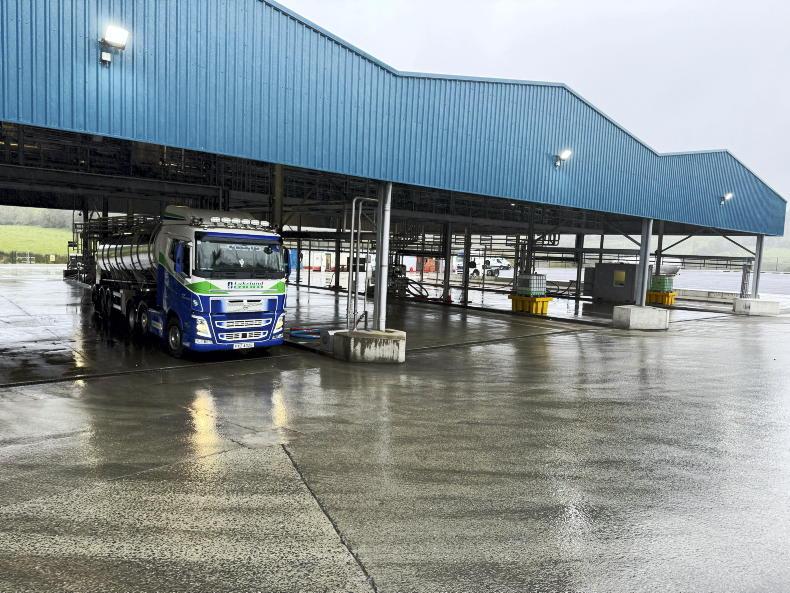 Lakeland Dairies leads September milk league