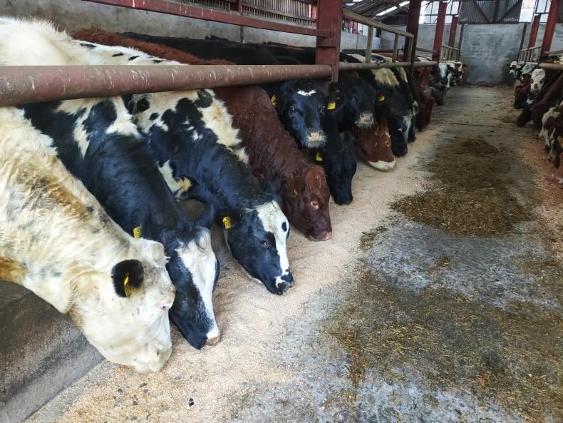 Farmers face 'appalling' system of paper profits