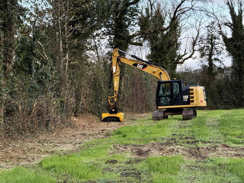 Mulchers and tree shears help Fermanagh agri contractor diversify business 