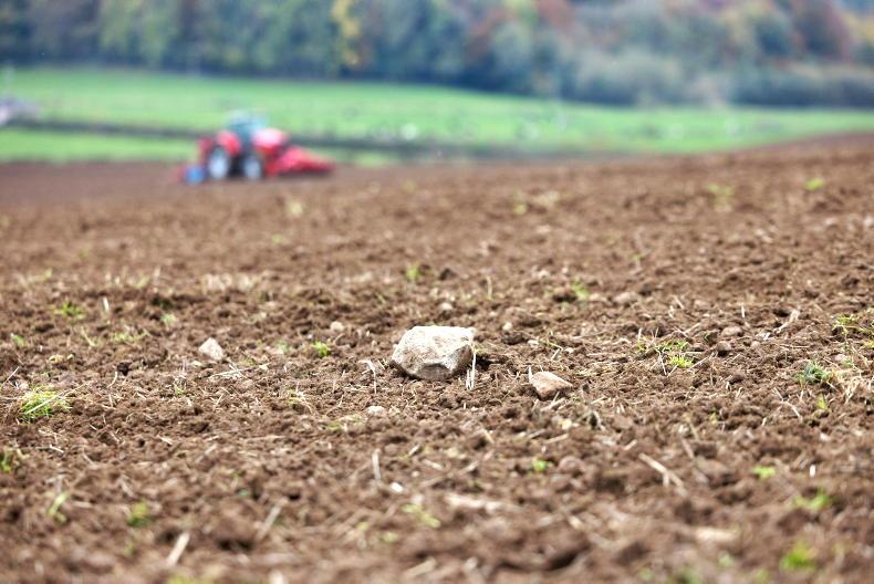 Home Farm: picture perfect winter barley