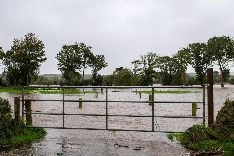Wind and rain warnings issued for Munster 