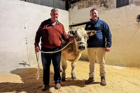‘Electric’ auction in Macroom Mart raises €15,000 for Féile O’Sullivan