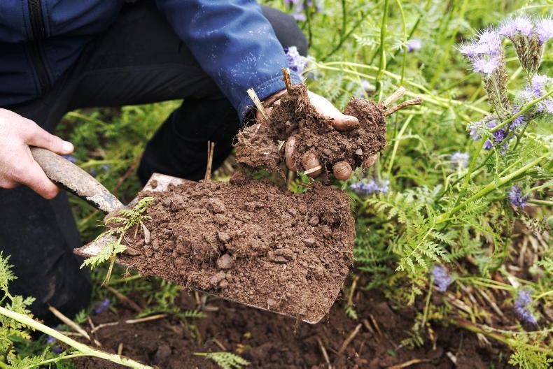 Tillage Management: walking the fields for disease, slugs and soil inspections