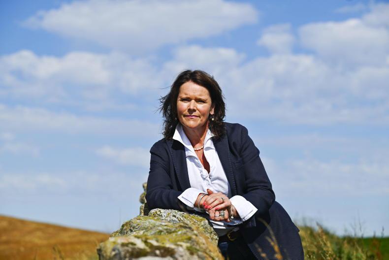 UK’s ‘brutal’ inheritance tax move had a silver lining for farm succession