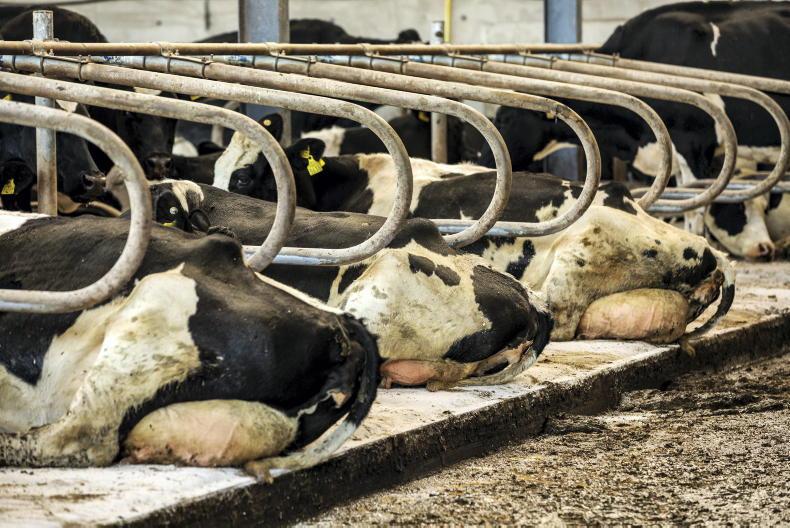 Processors confirm winter bonus payments