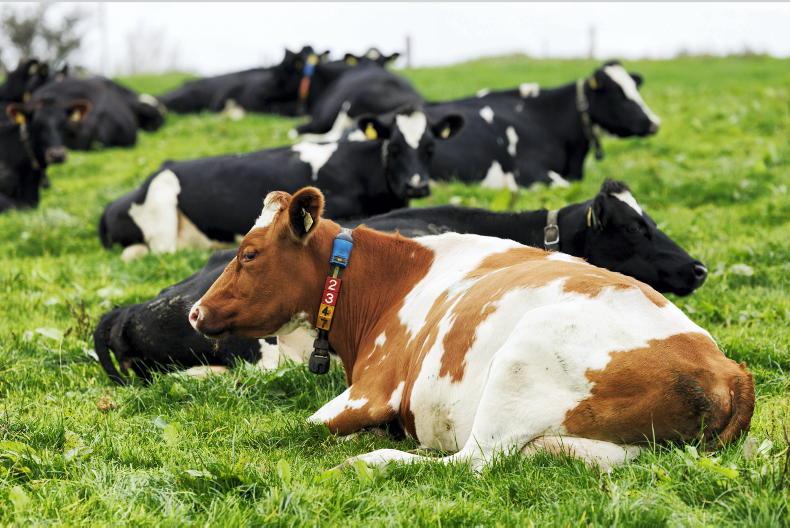 Milk League: major cuts from all co-ops