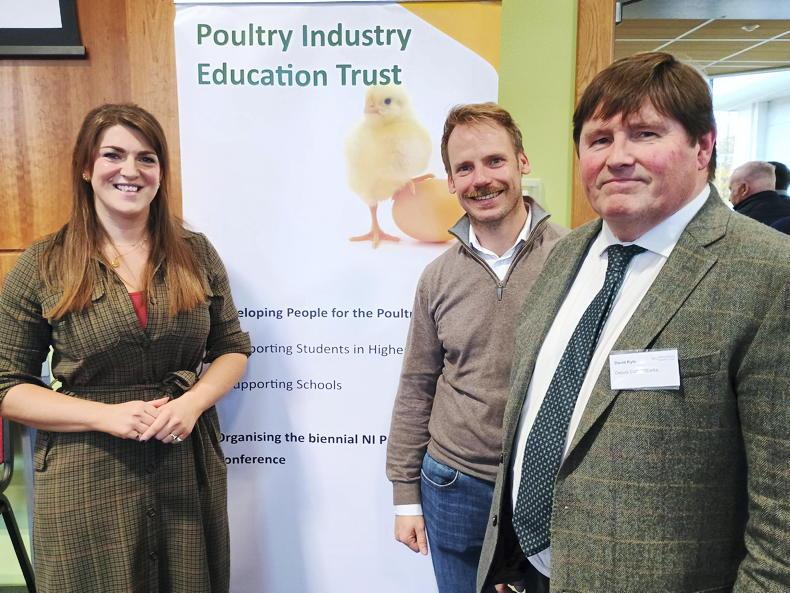 Bird flu case ‘a wake-up call’ says DAERA vet