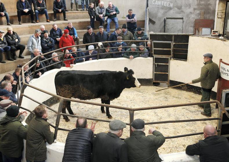 Northern Ireland diary of events