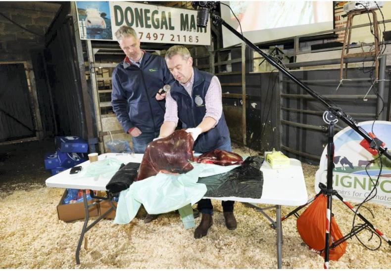 Getting dosing right in Donegal