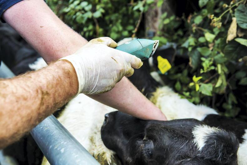 Vet TB testing breaches to be treated ‘seriously’ 