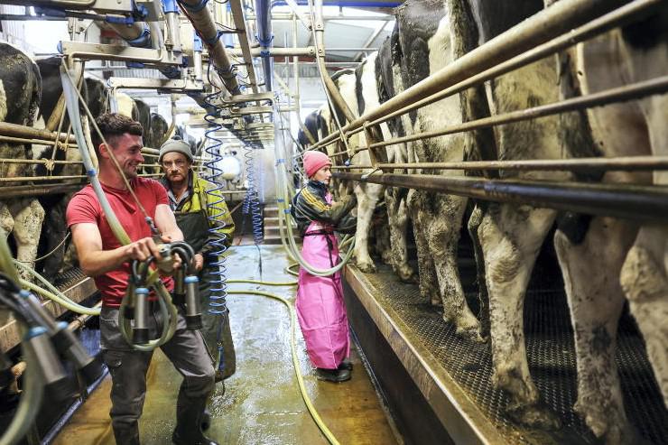 Managing people on Irish dairy farms