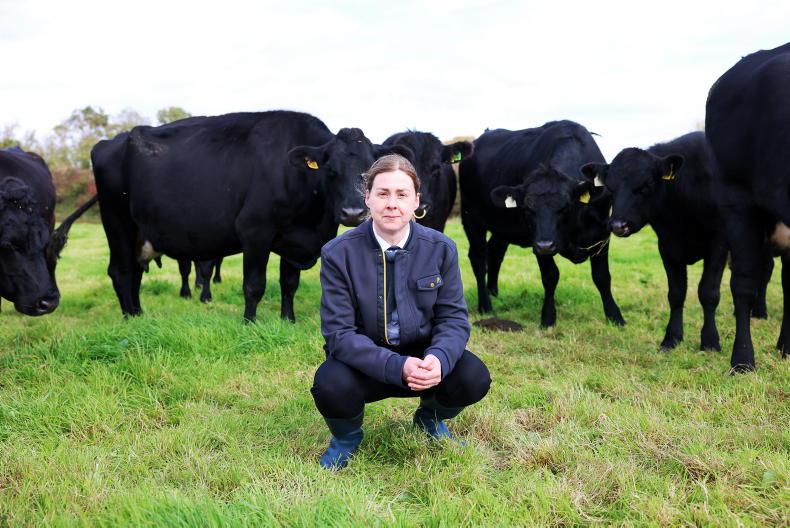 Balancing bovines to burgers: Annmarie Naughton has forged her own career 