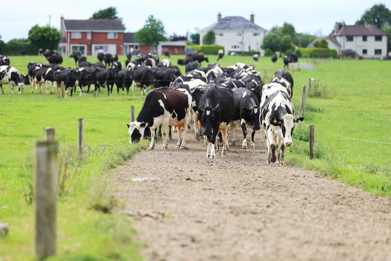 Dairy Trends: no change to butter and cheese prices