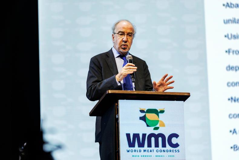 Mercosur deal now a necessity - Clarke