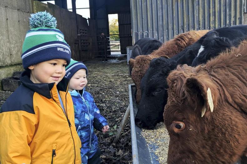 Country vibes... a few of our favourite things