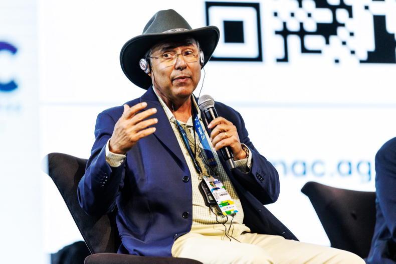 Hormones for cattle could help Brazil cut emissions