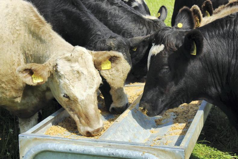 Plans for feed database and slurry GPS trackers dropped