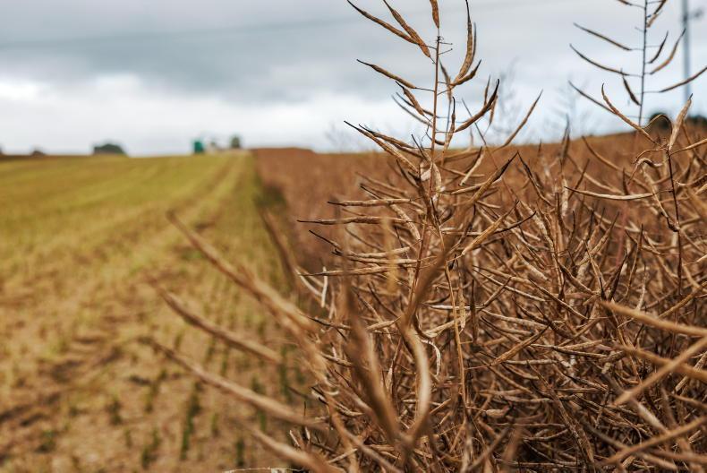 Tillage remains best in class for environment
